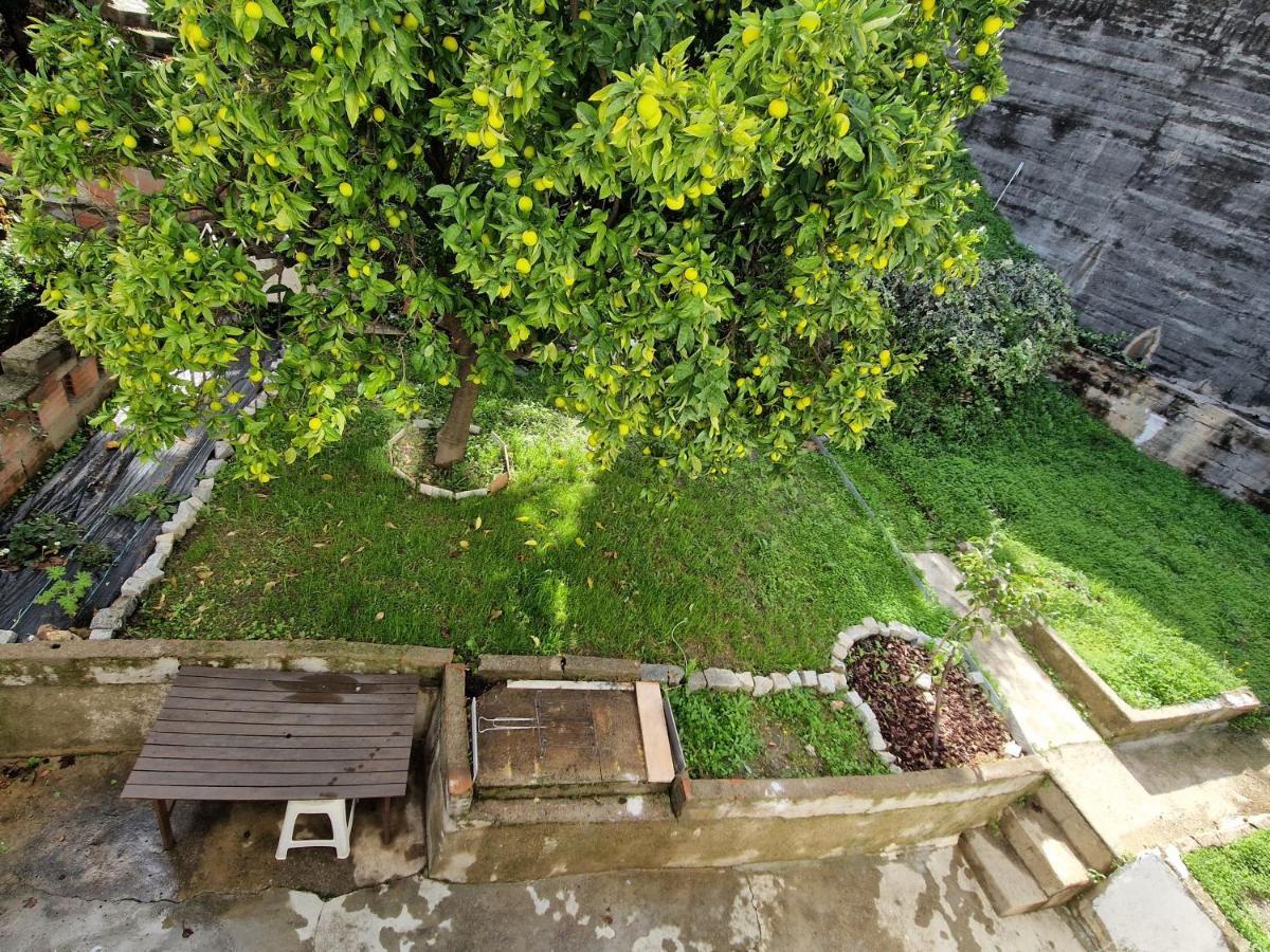 Moradia T2 Em Bairro Pitoresco Da Covilha Exterior photo